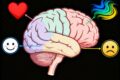 Dentro la regolazione emotiva: le nuove mappe del cervello
